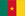 Basketball Cameroon
